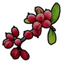 Ягоды (Berries) в Rust — семена и чаи
