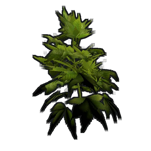 Конопля (Hemp) в Rust — источник ткани и семян